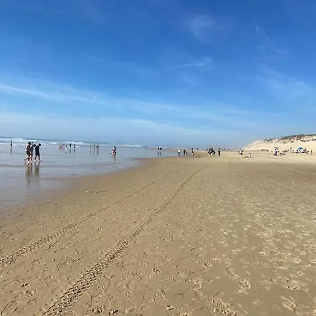 Vila L'oasis A Biscarrosse