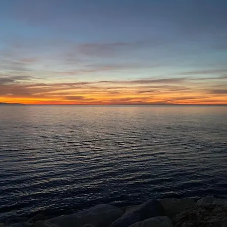 Vila L'oasis A Biscarrosse